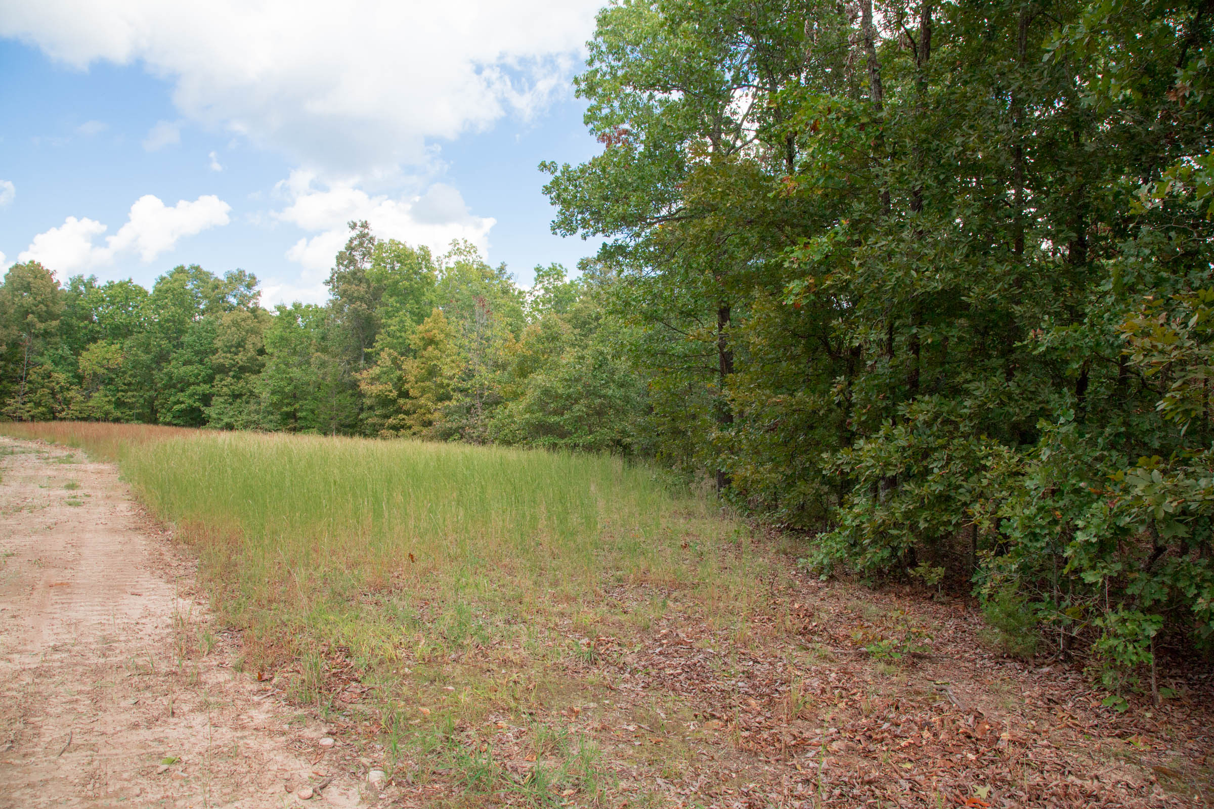 Tract 16 at Wagon Wheel Ranch in Dent County, Missouri