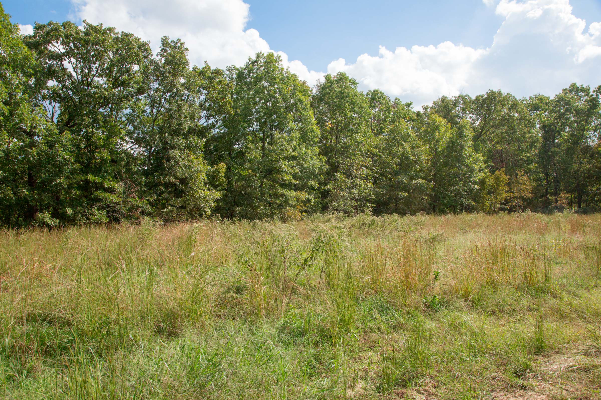 Tract 19 at Wagon Wheel Ranch in Dent County, Missouri
