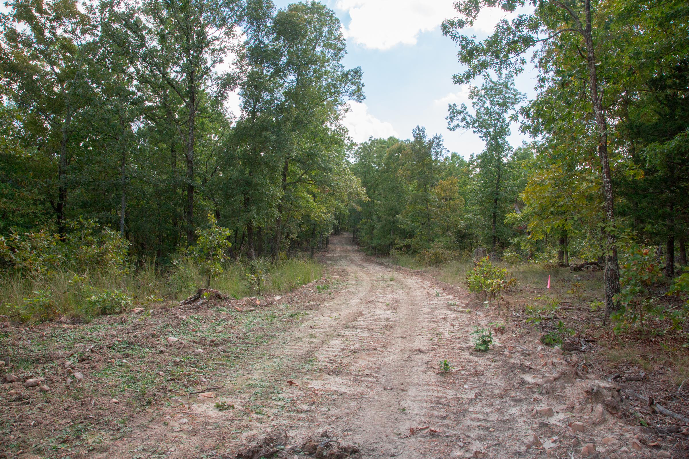 Tract 22 at Wagon Wheel Ranch in Dent County, Missouri