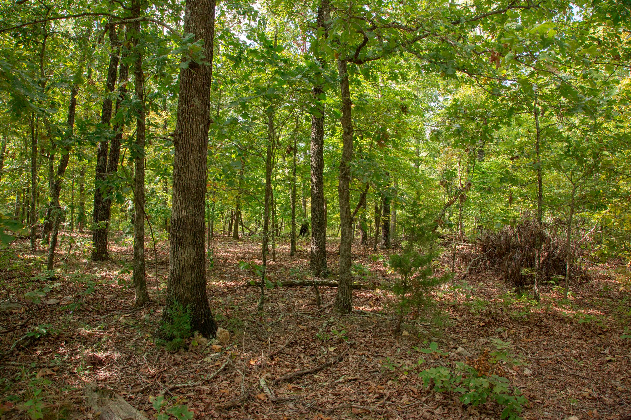 Tract 23 at Wagon Wheel Ranch in Dent County, Missouri