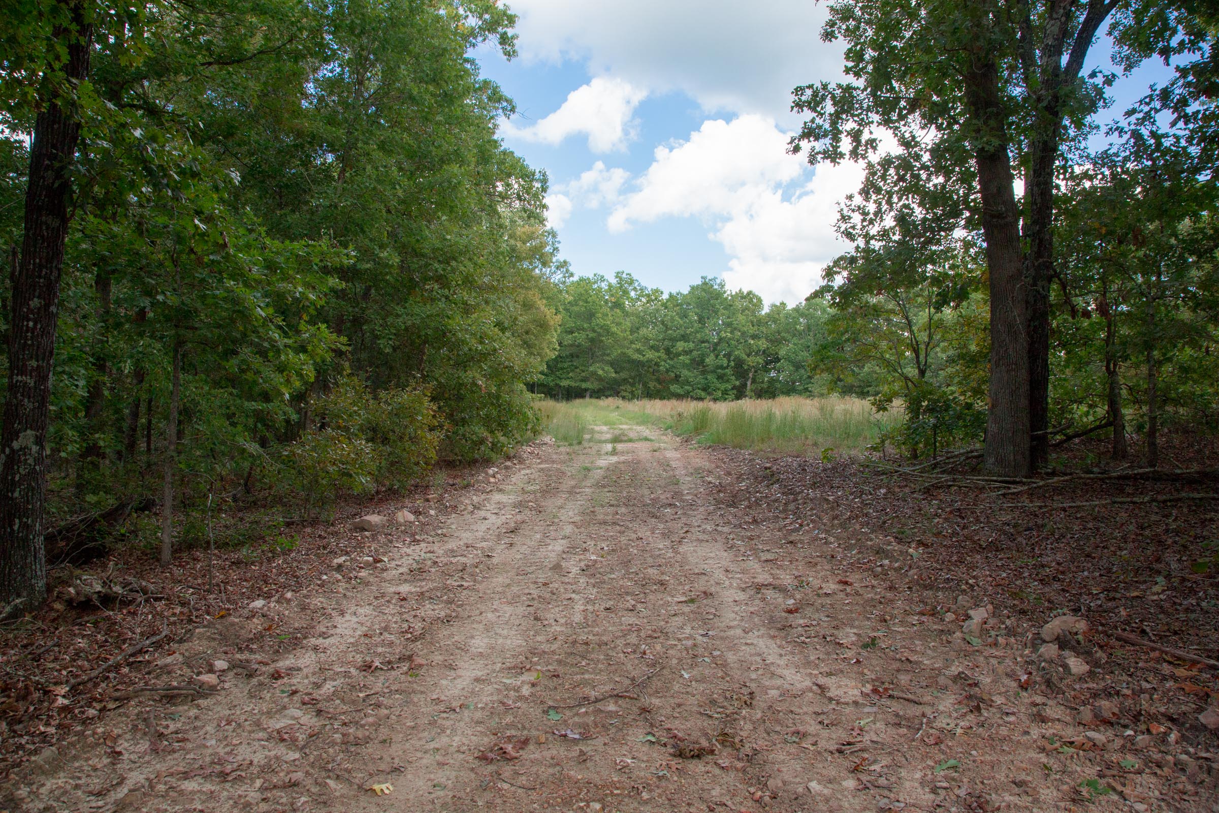 Tract 24 at Wagon Wheel Ranch in Dent County, Missouri