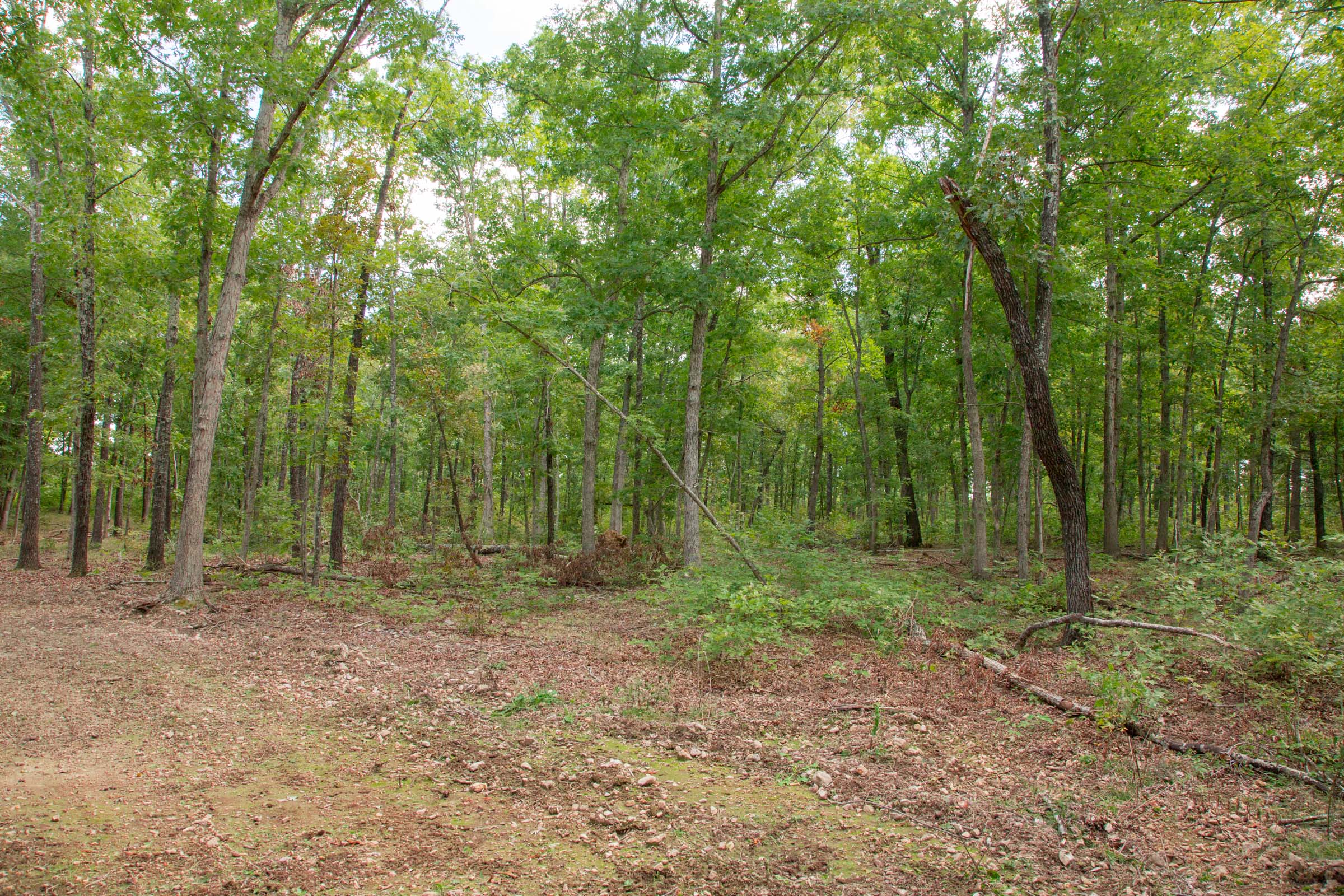 Tract 27 at Wagon Wheel Ranch in Dent County, Missouri