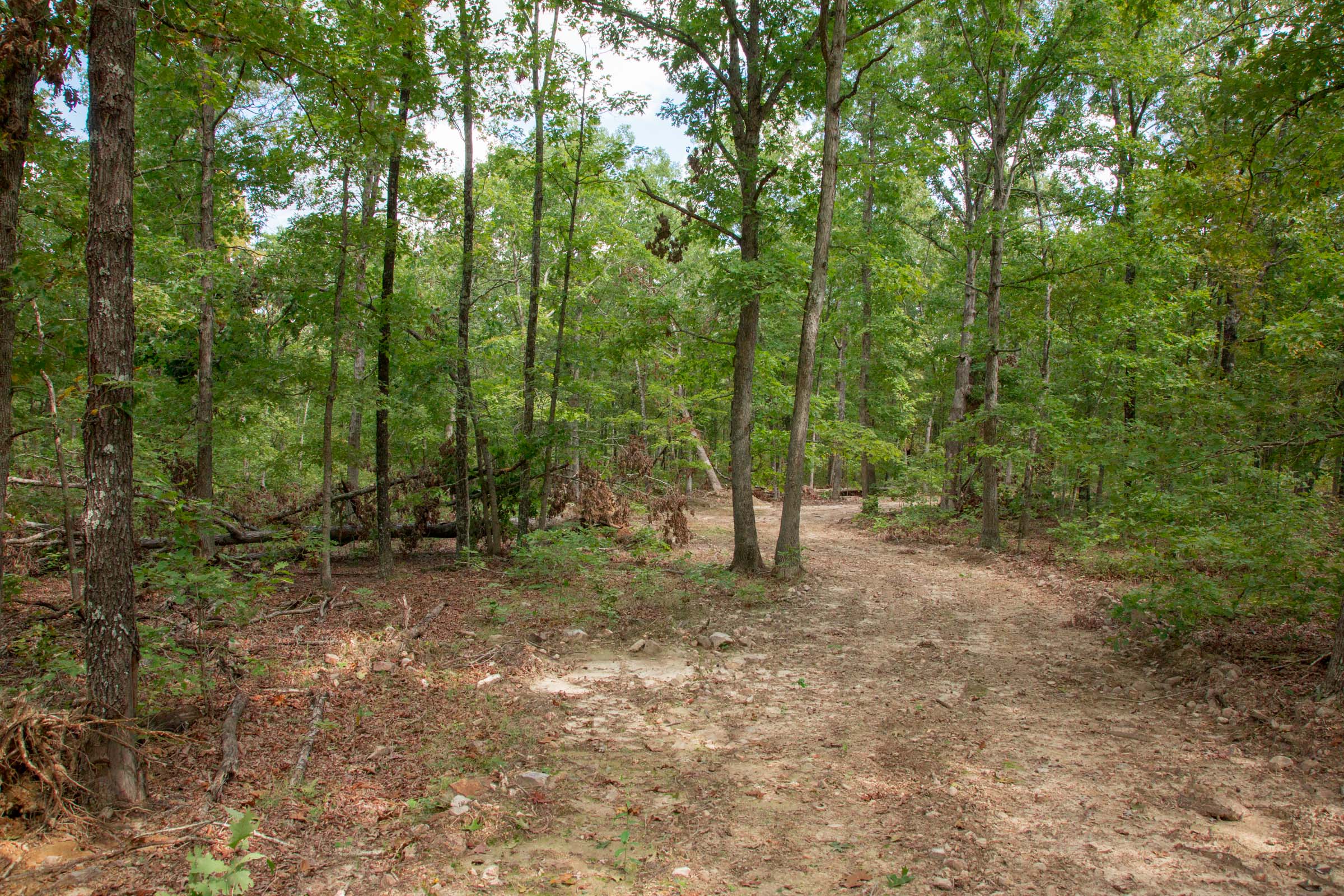 Tract 30 at Wagon Wheel Ranch in Dent County, Missouri