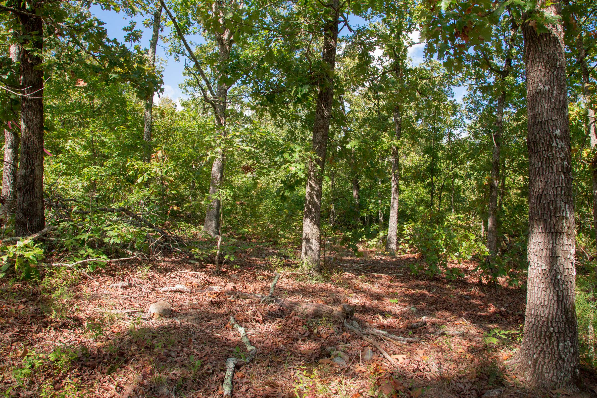 Tract 34 at Wagon Wheel Ranch in Dent County, Missouri