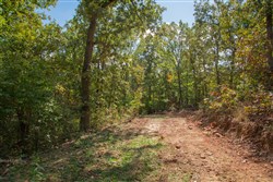 property photo for Wagon Wheel Ranch Tract 37, 6.9 acres for sale in Dent County, Missouri