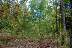 property photo for Wagon Wheel Ranch Tract 37, 6.9 acres for sale in Dent County, Missouri