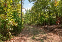 property photo for Wagon Wheel Ranch Tract 37, 6.9 acres for sale in Dent County, Missouri