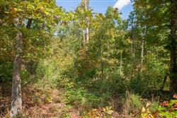 property photo for Wagon Wheel Ranch Tract 37, 6.9 acres for sale in Dent County, Missouri