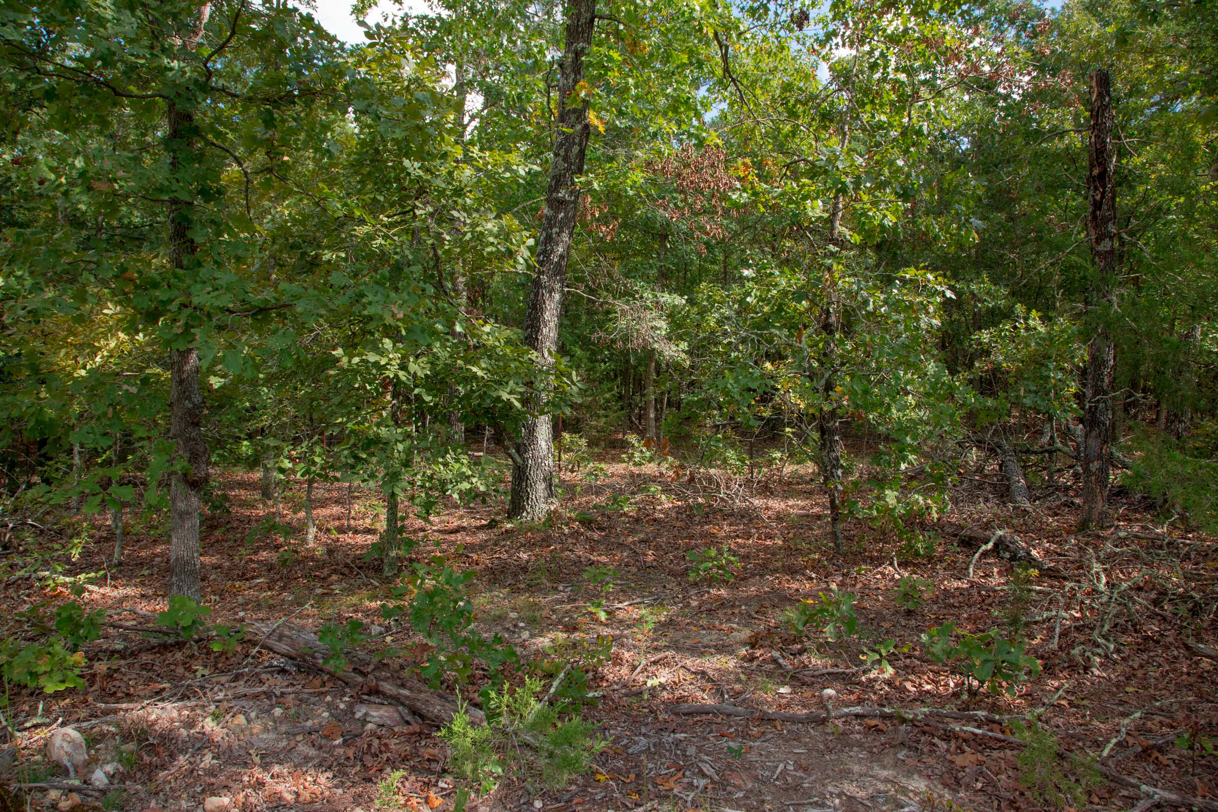 Tract 43 at Wagon Wheel Ranch in Dent County, Missouri