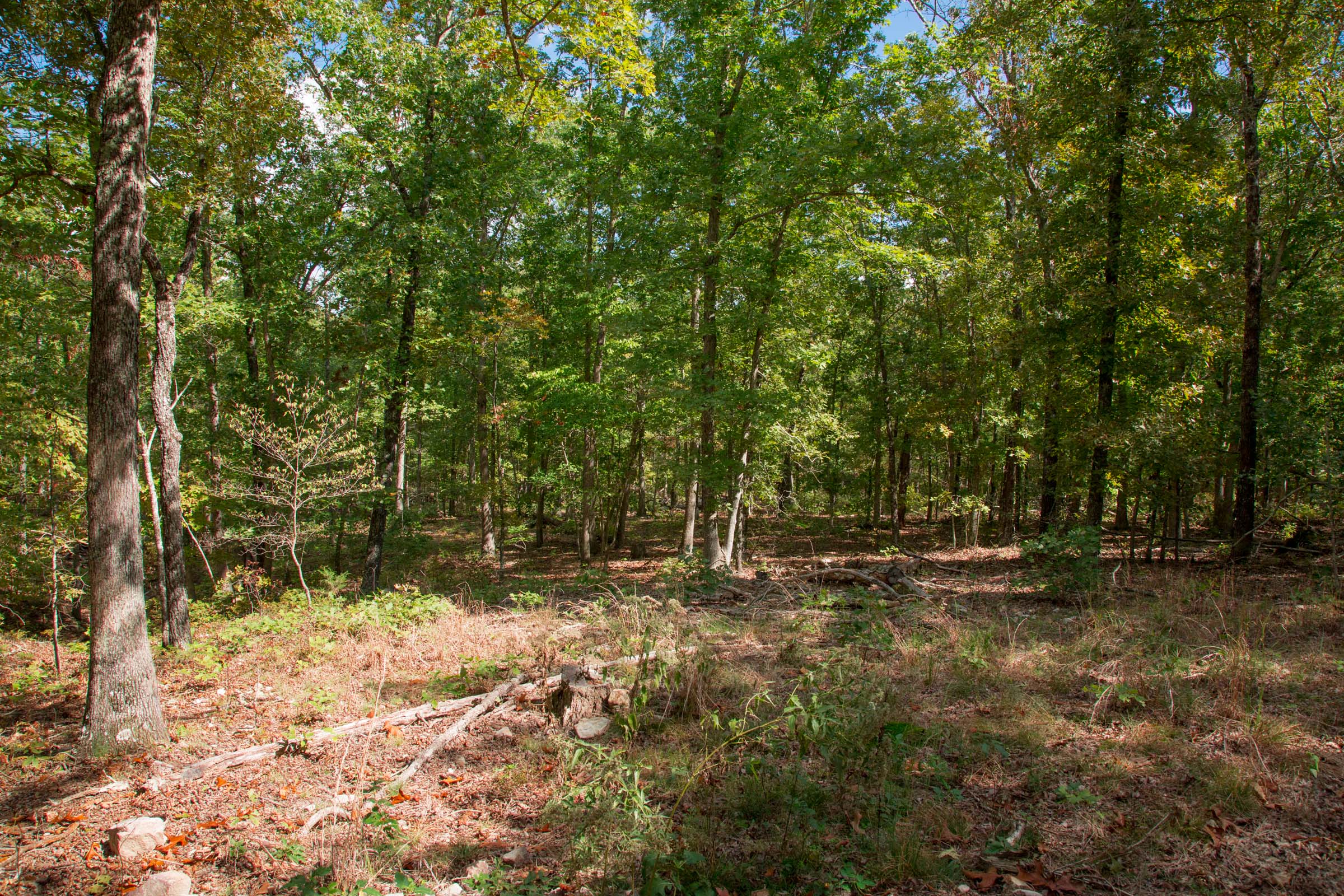 Tract 45 at Wagon Wheel Ranch in Dent County, Missouri