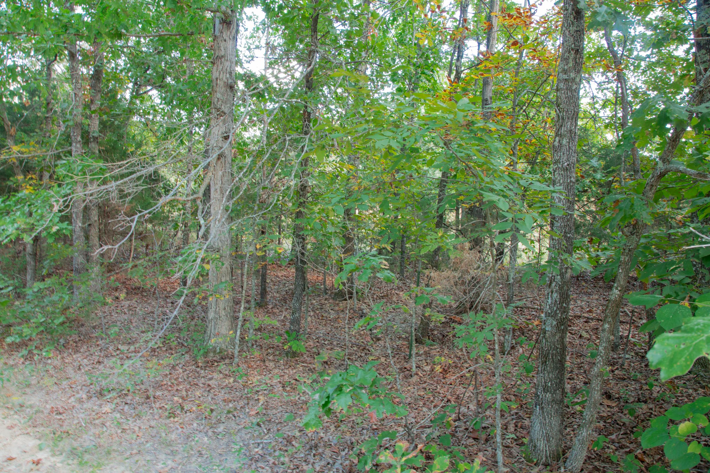Tract 6 at Wagon Wheel Ranch in Dent County, Missouri