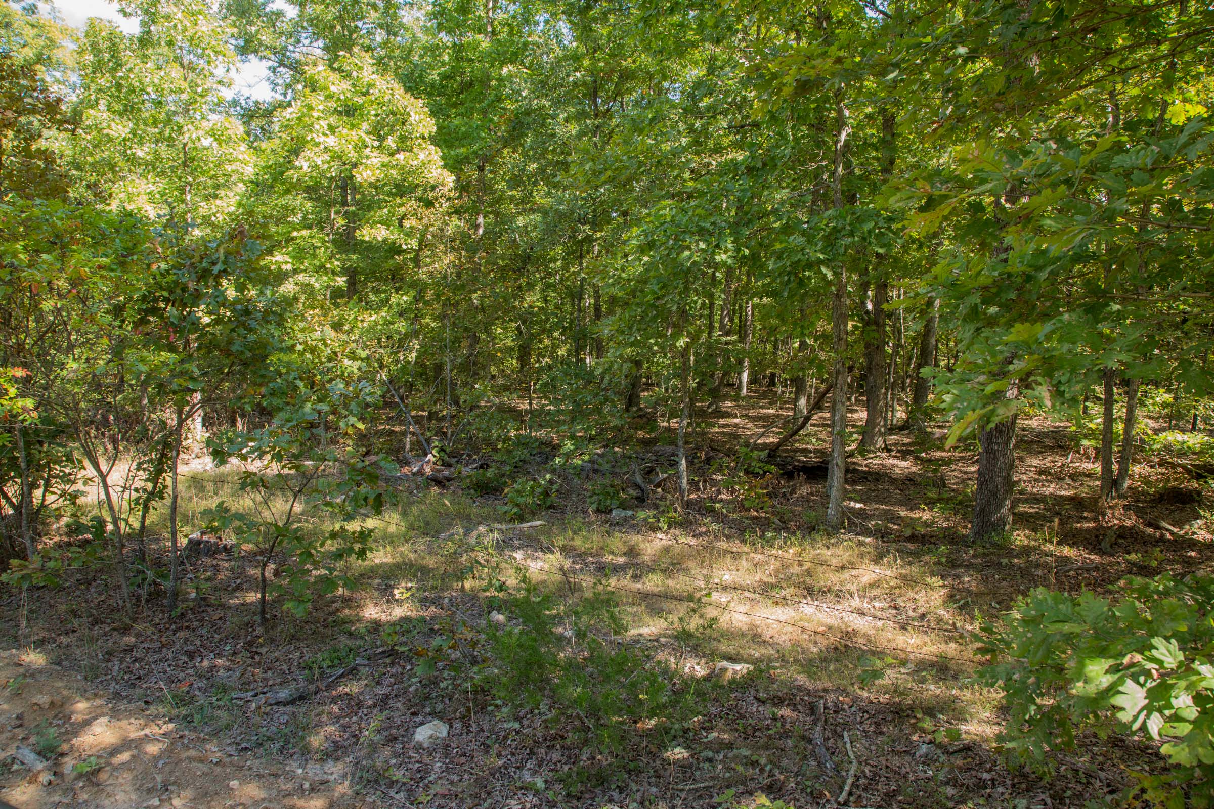 Tract 8 at Wagon Wheel Ranch in Dent County, Missouri