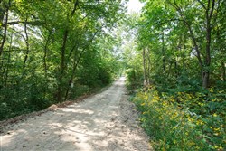 property photo for Springlake Plat 2 Tract 10, 0.21 acres for sale in Miller County, Missouri