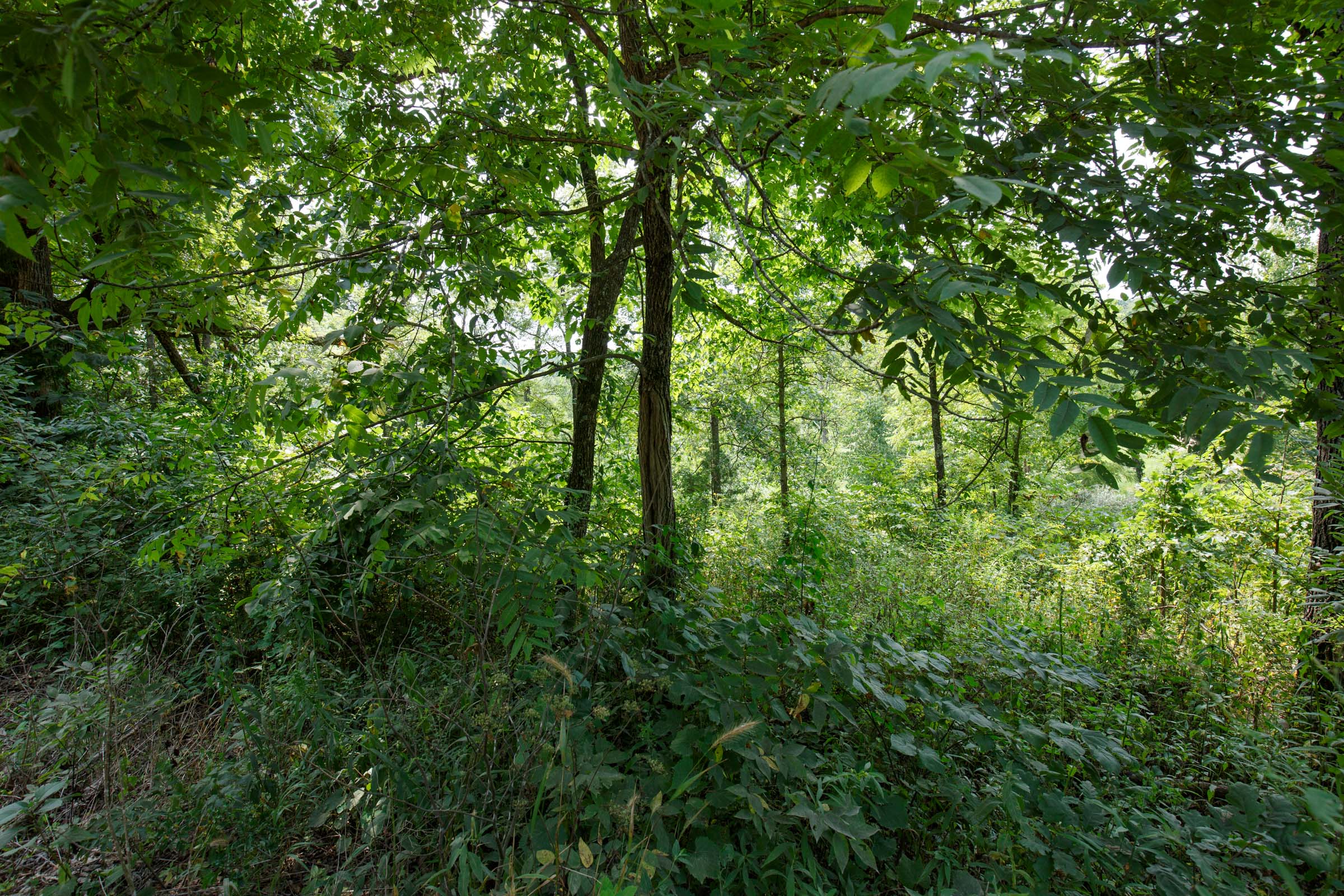 Tract 123 at Springlake in Miller County, Missouri