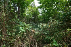 property photo for Springlake Plat 6 Tract 28, 0.19 acres for sale in Miller County, Missouri
