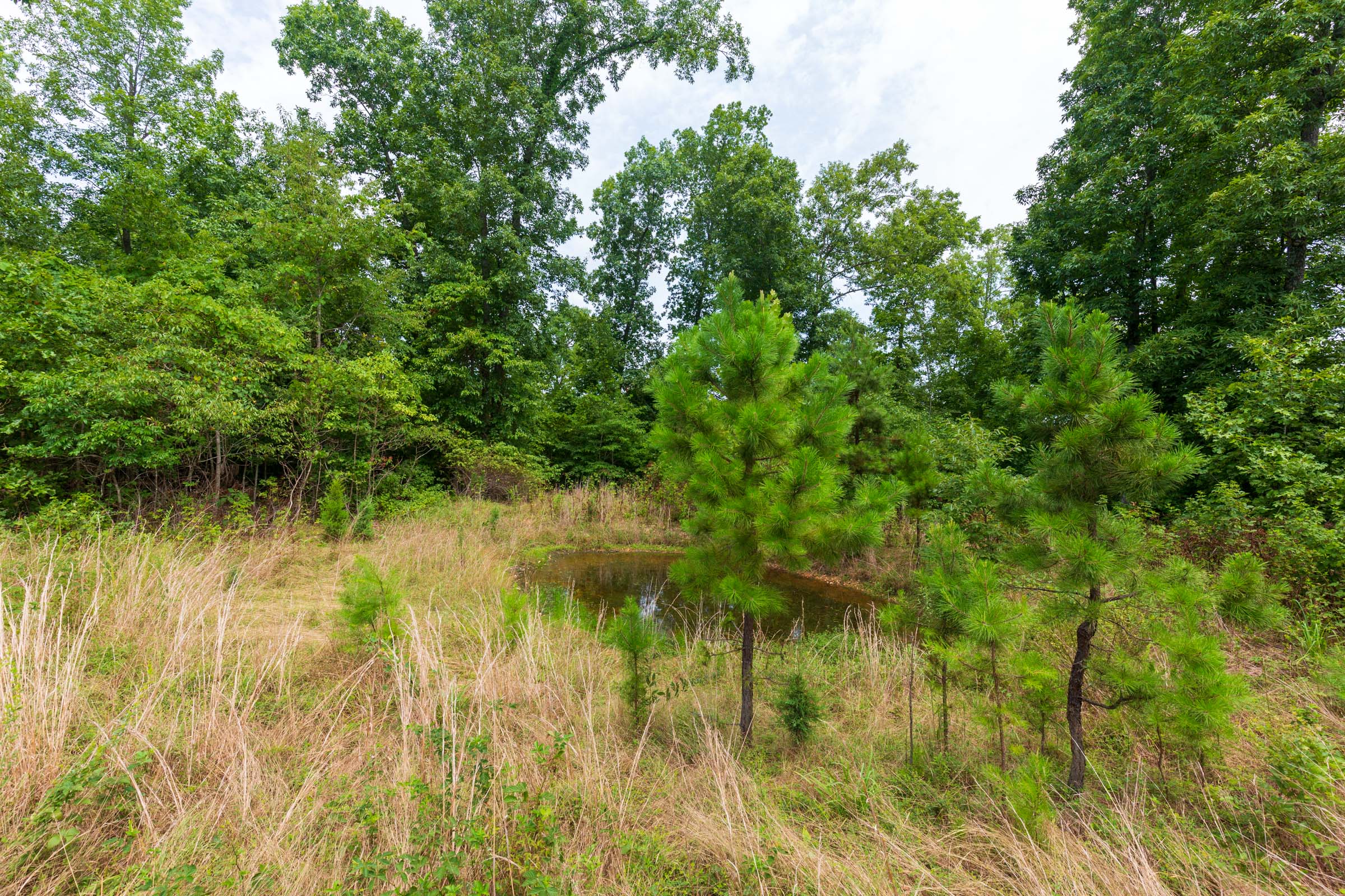 Tract 23 at Cypress Ridge in Reynolds County, Missouri