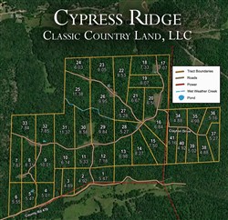 tract layout map for Cypress Ridge Tract 31, 11.37 acres for sale in Reynolds County, Missouri