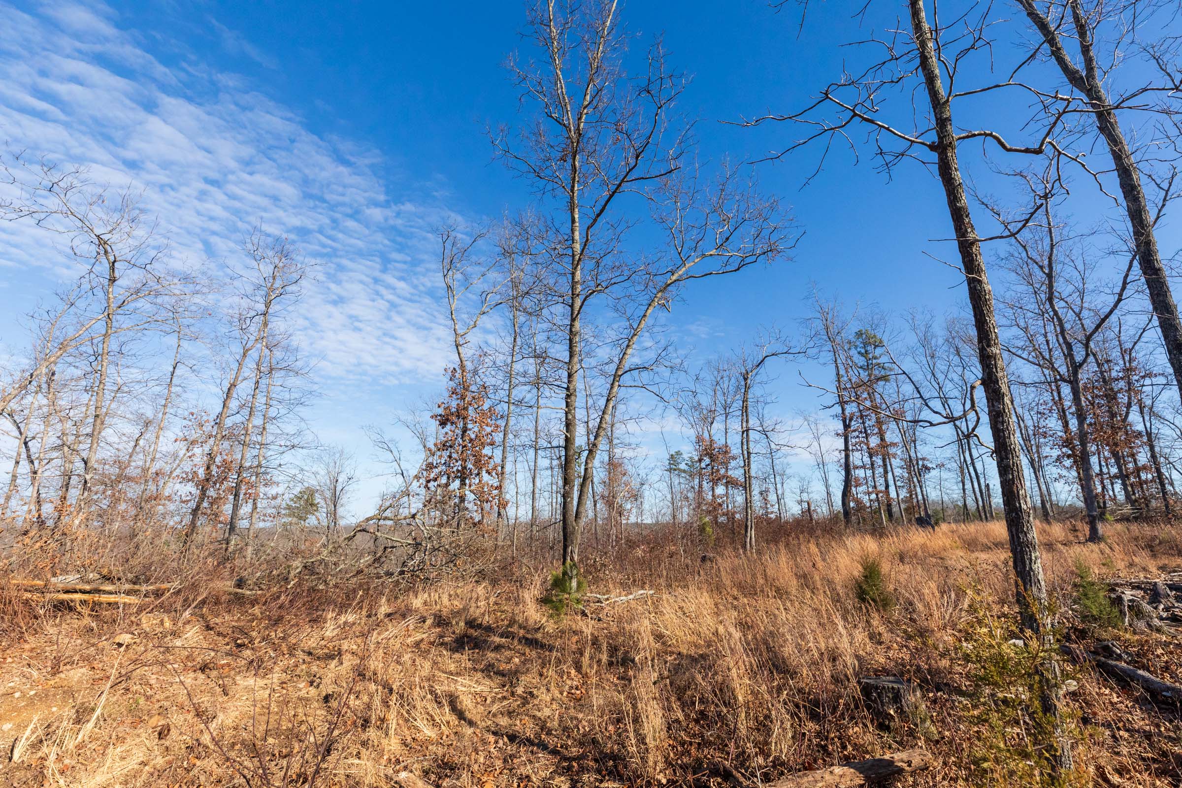 Tract 34 at Cypress Ridge in Reynolds County, Missouri
