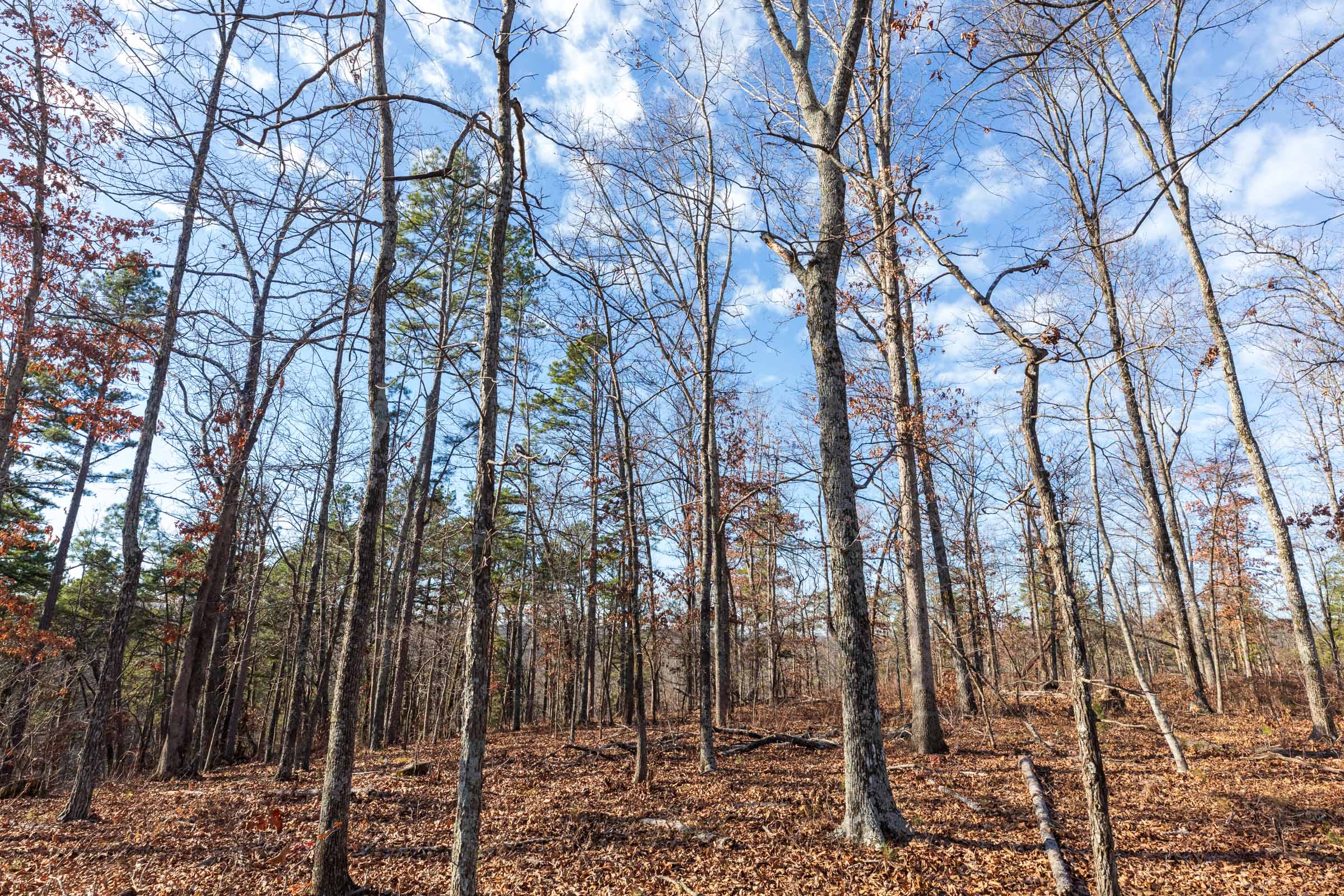 Tract 35 at Cypress Ridge in Reynolds County, Missouri