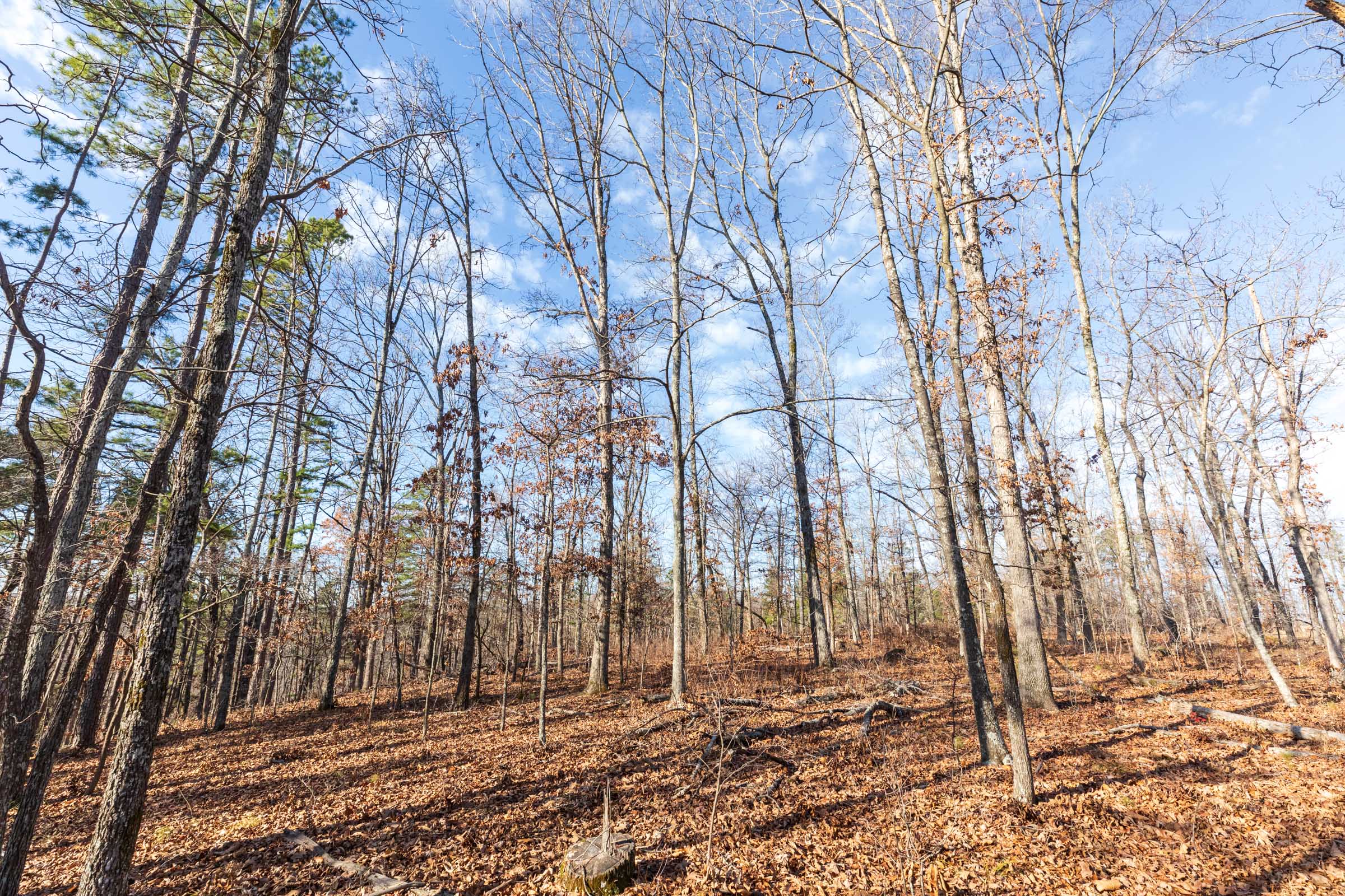 Tract 36 at Cypress Ridge in Reynolds County, Missouri