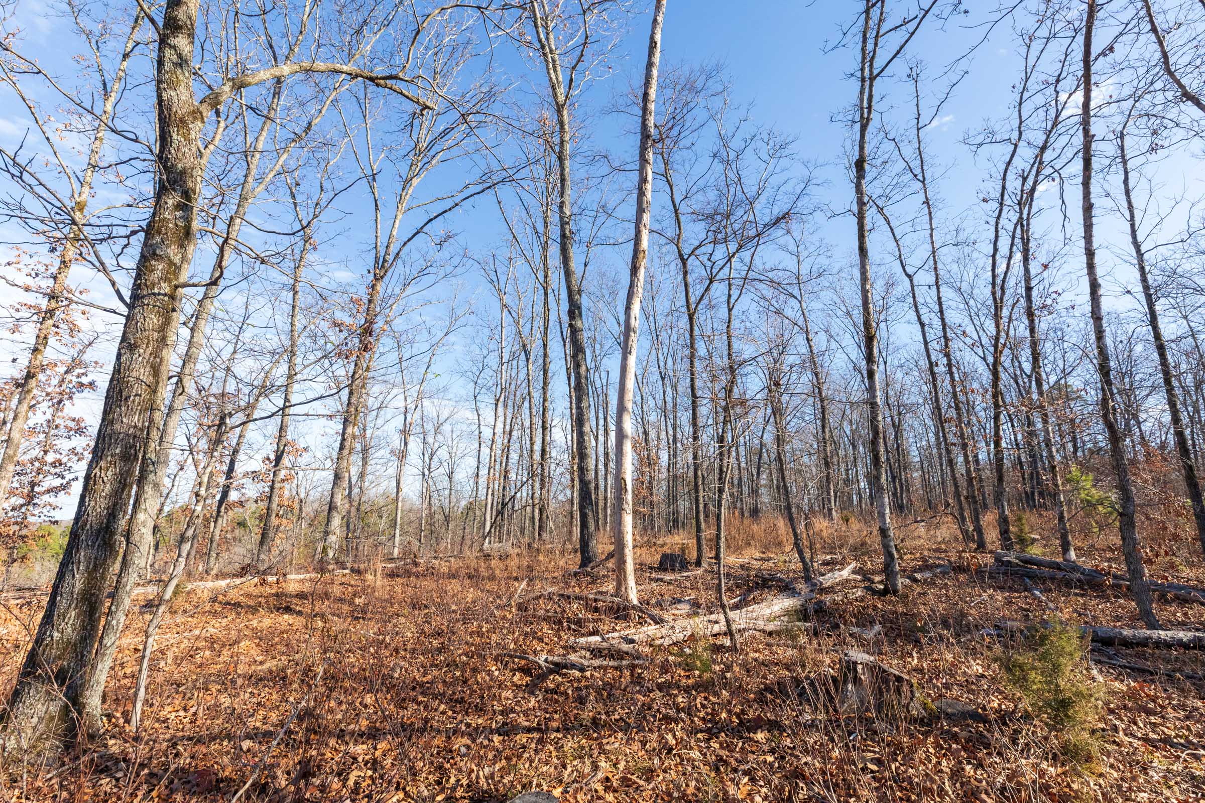 Tract 37 at Cypress Ridge in Reynolds County, Missouri