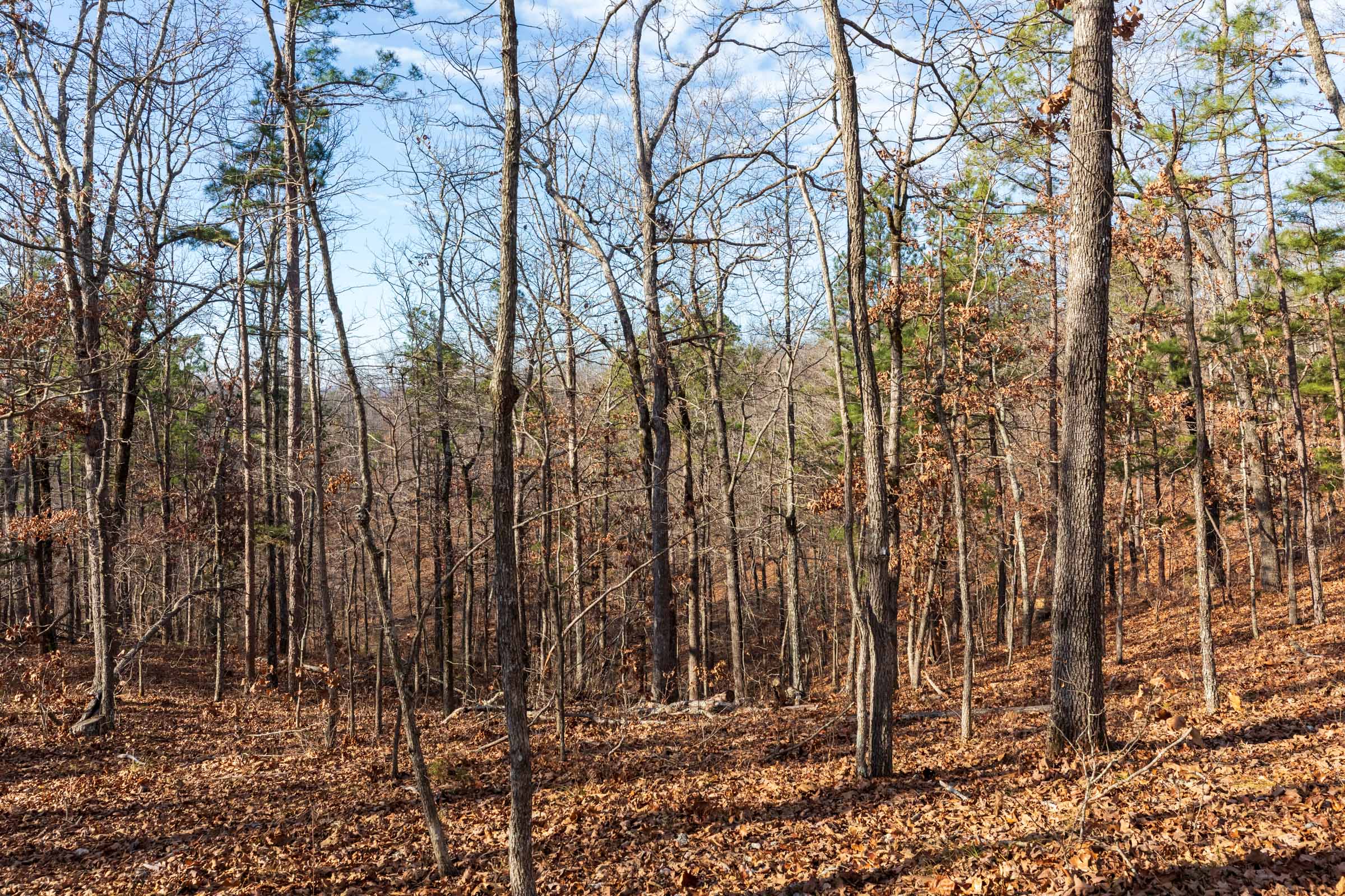 Tract 39 at Cypress Ridge in Reynolds County, Missouri