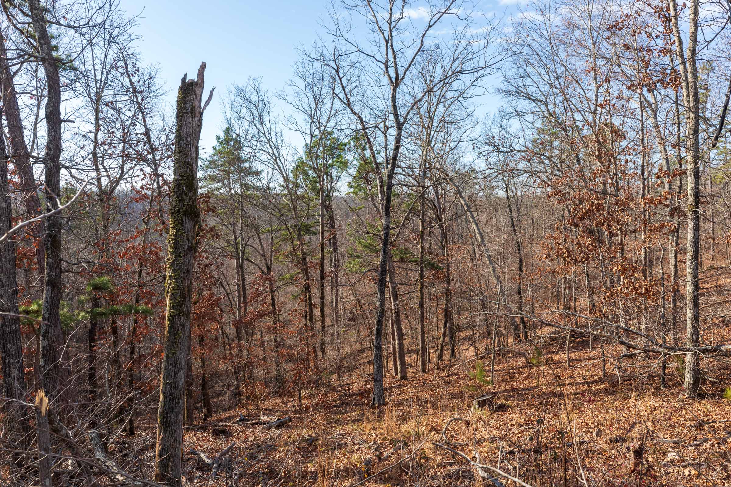 Tract 40 at Cypress Ridge in Reynolds County, Missouri