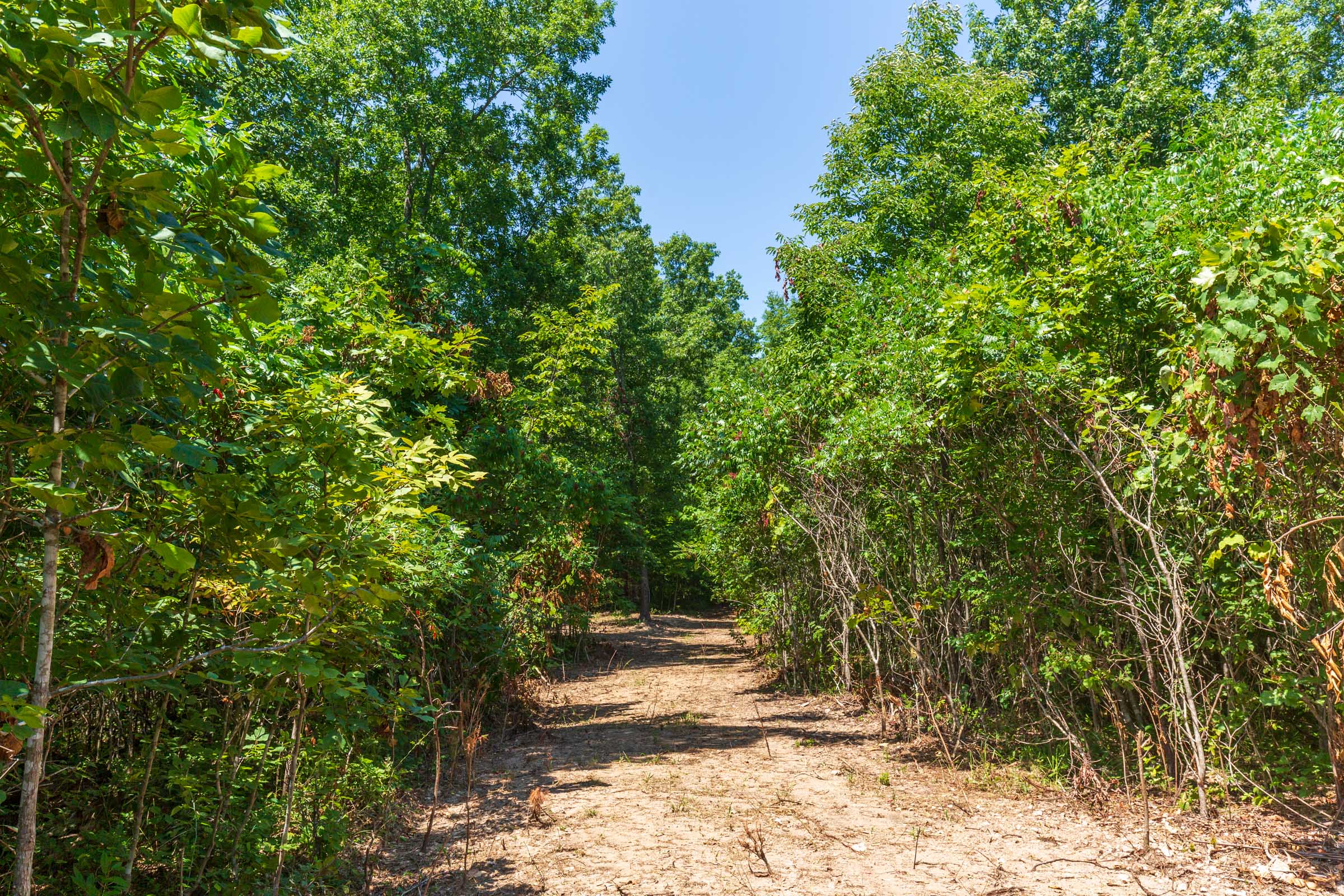 Tract 8 at Cypress Ridge in Reynolds County, Missouri