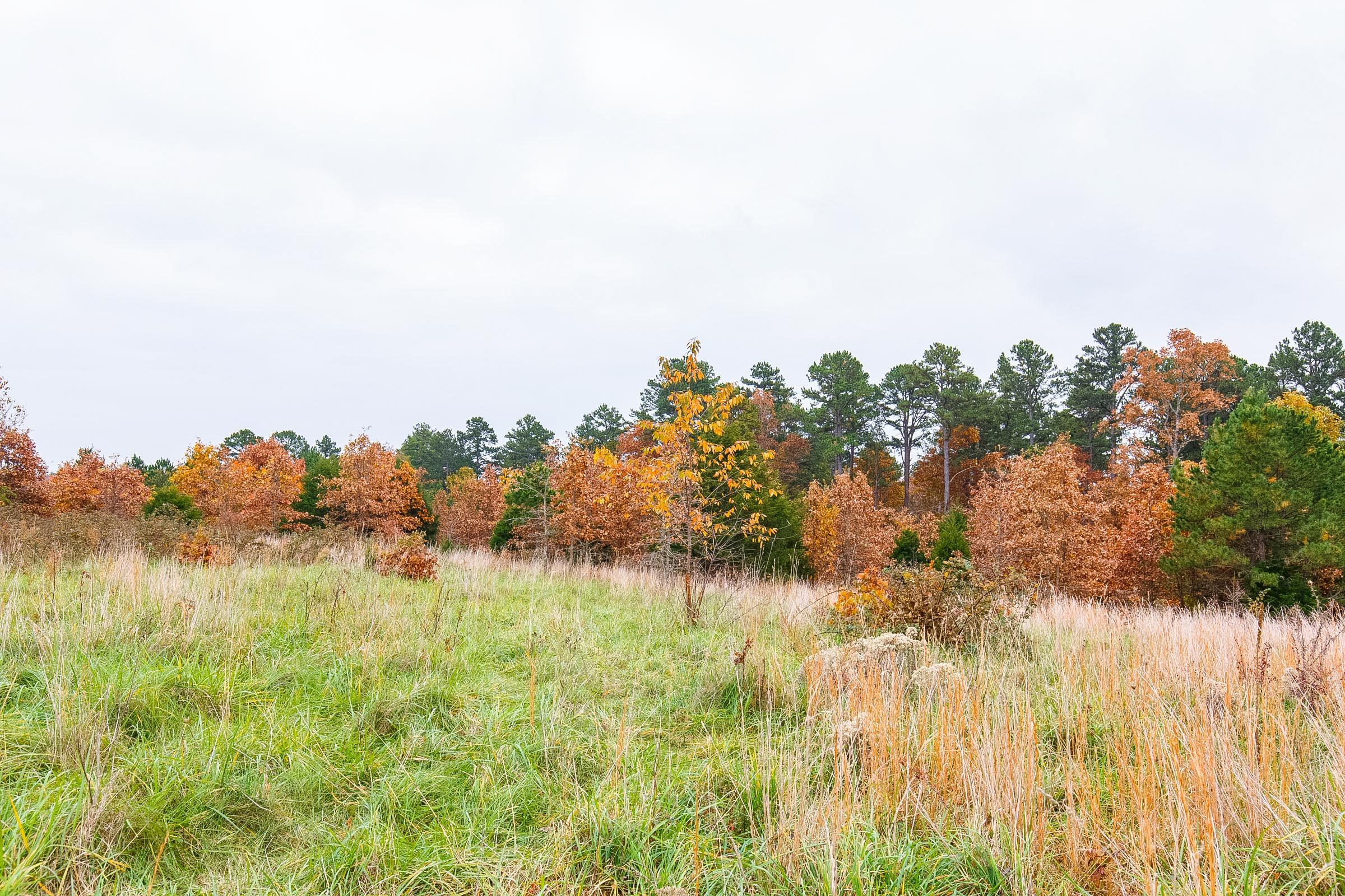 Tract 13 at Hawkcrest in Reynolds County, Missouri