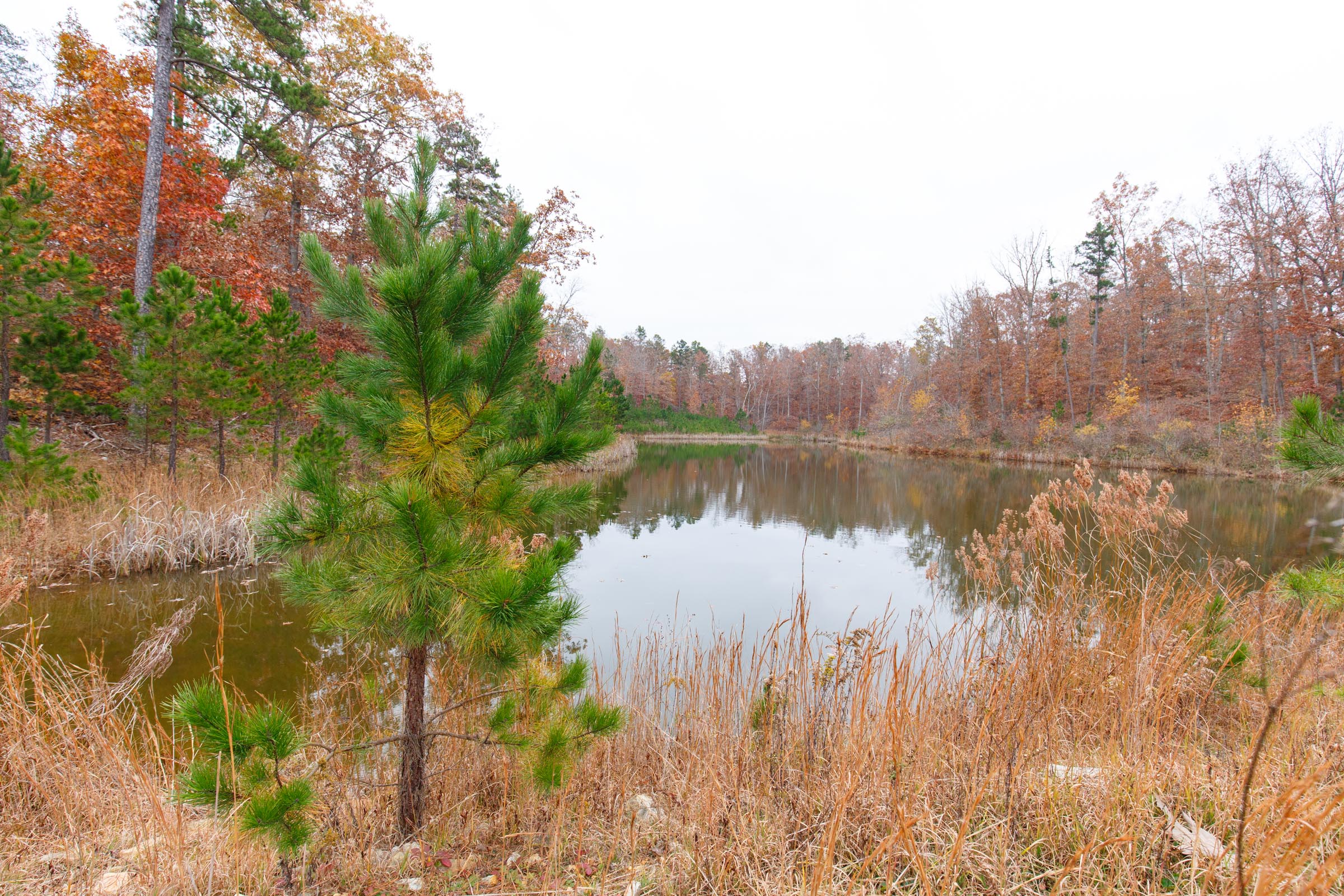 Tract 24 at Hawkcrest in Reynolds County, Missouri