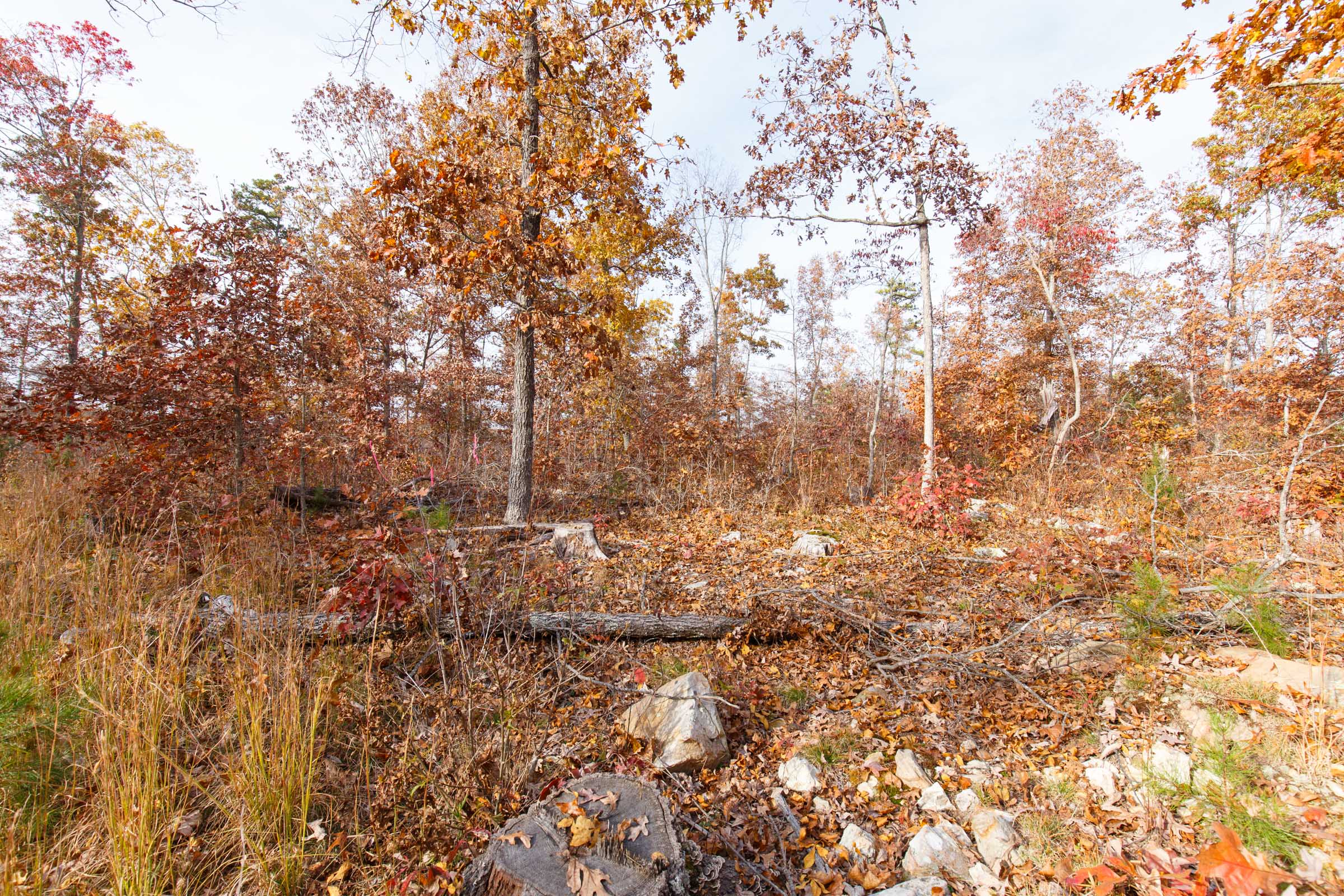 Tract 29 at Hawkcrest in Reynolds County, Missouri