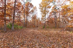 property photo for Hawkcrest Tract 30, 7.77 acres for sale in Reynolds County, Missouri