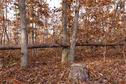 property photo for Hawkcrest Tract 30, 7.77 acres for sale in Reynolds County, Missouri