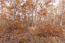 property photo for Hawkcrest Tract 30, 7.77 acres for sale in Reynolds County, Missouri