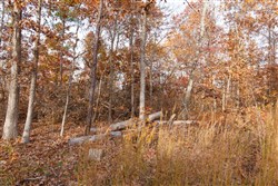 property photo for Hawkcrest Tract 30, 7.77 acres for sale in Reynolds County, Missouri