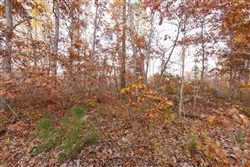 property photo for Hawkcrest Tract 30, 7.77 acres for sale in Reynolds County, Missouri