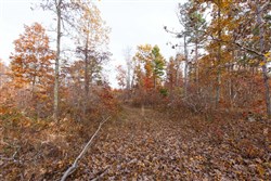 property photo for Hawkcrest Tract 31, 7.93 acres for sale in Reynolds County, Missouri