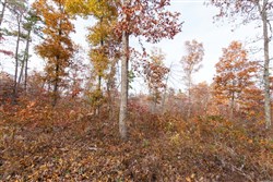 property photo for Hawkcrest Tract 31, 7.93 acres for sale in Reynolds County, Missouri