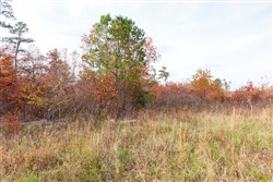 property photo for Hawkcrest Tract 31, 7.93 acres for sale in Reynolds County, Missouri
