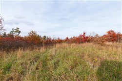 property photo for Hawkcrest Tract 31, 7.93 acres for sale in Reynolds County, Missouri