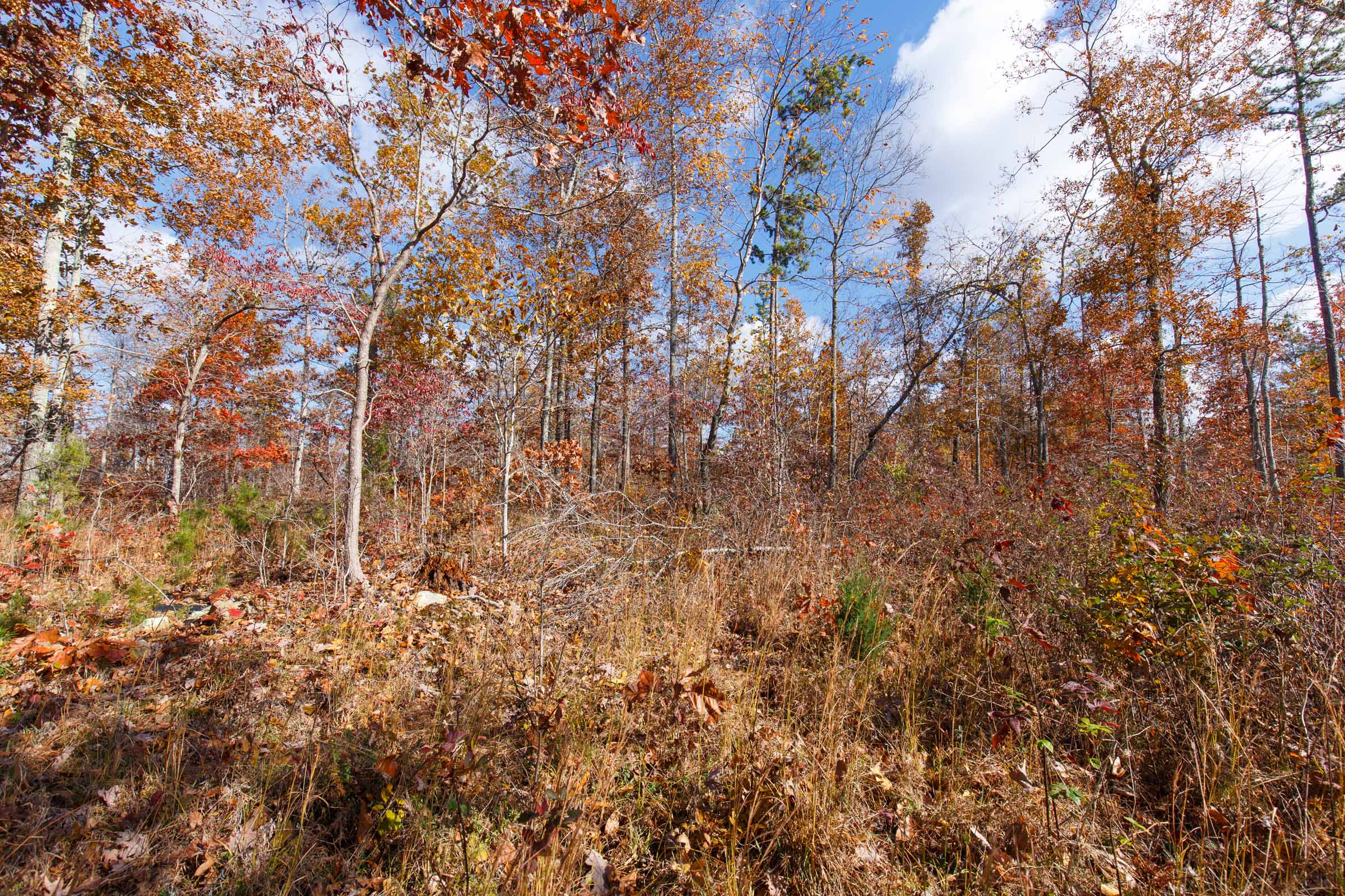 Tract 41 at Hawkcrest in Reynolds County, Missouri