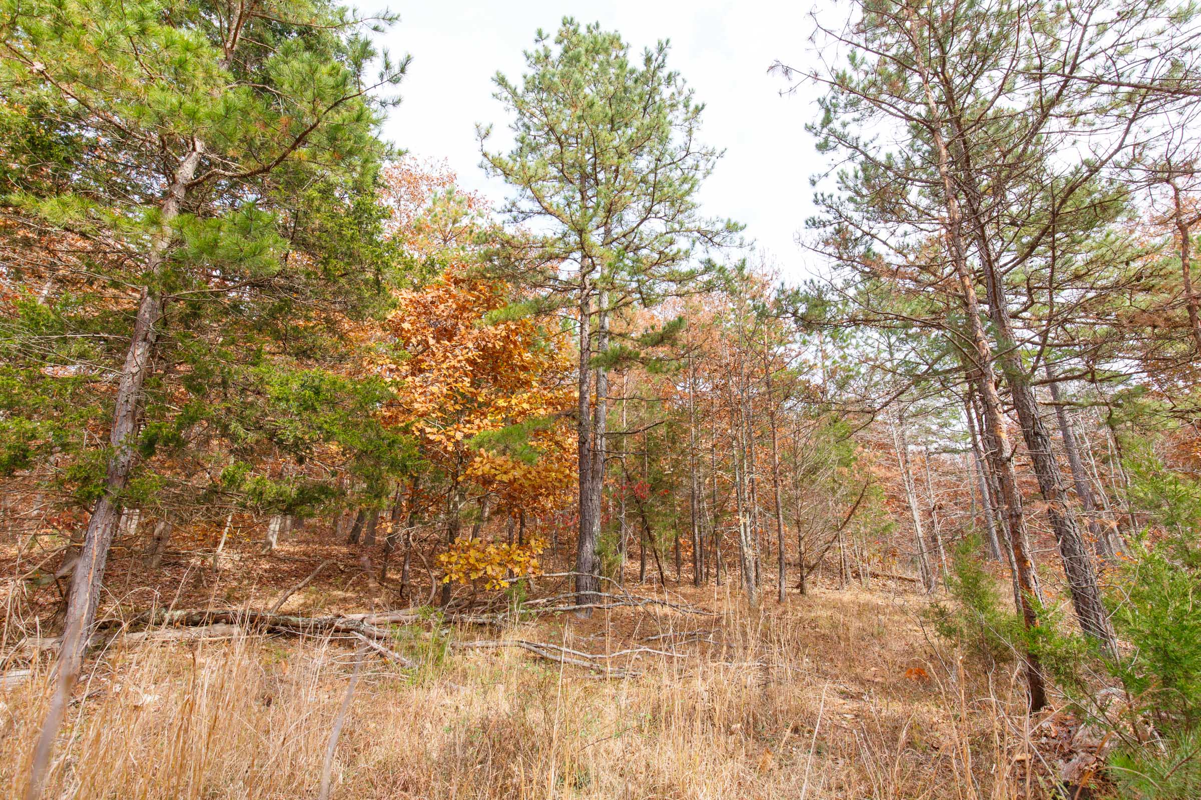 Tract 49 at Hawkcrest in Reynolds County, Missouri