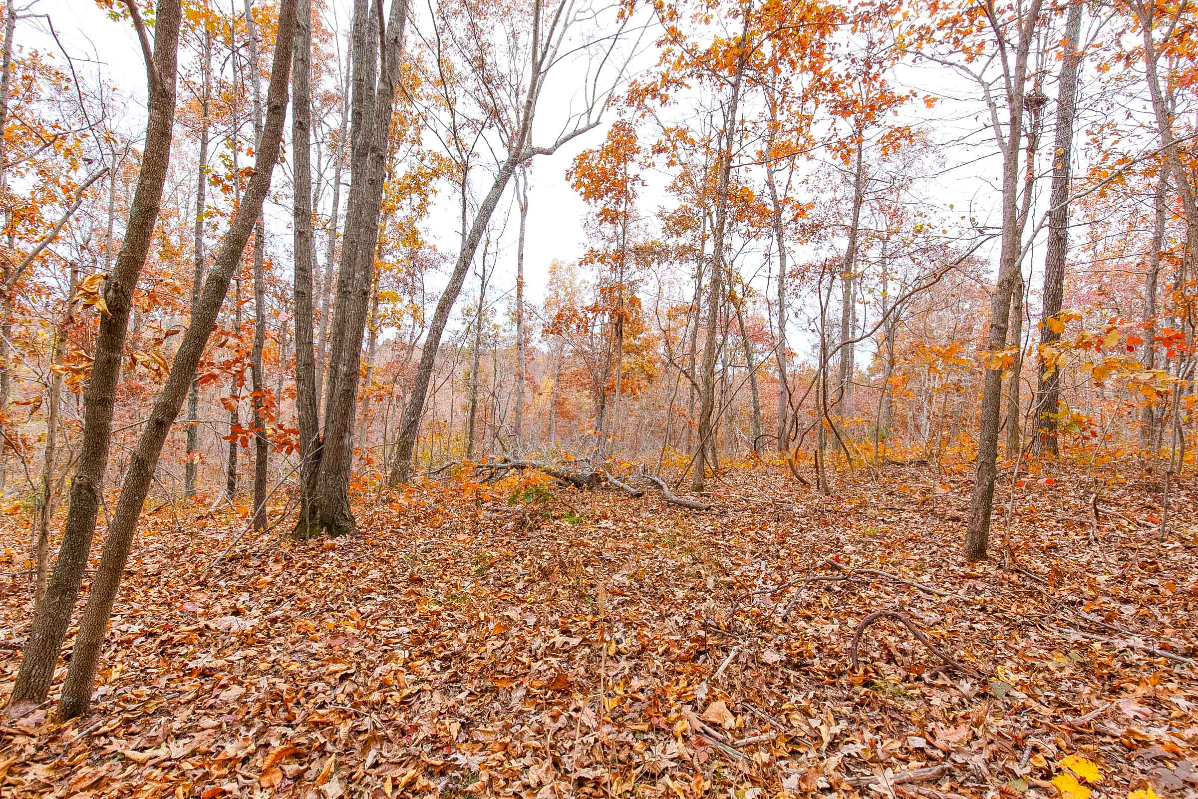Tract 5 at Hawkcrest in Reynolds County, Missouri