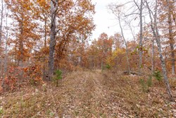 property photo for Hawkcrest Tract 51, 8.63 acres for sale in Reynolds County, Missouri