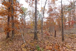 property photo for Hawkcrest Tract 51, 8.63 acres for sale in Reynolds County, Missouri