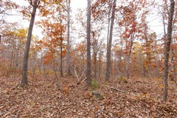property photo for Hawkcrest Tract 51, 8.63 acres for sale in Reynolds County, Missouri