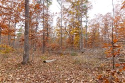 property photo for Hawkcrest Tract 51, 8.63 acres for sale in Reynolds County, Missouri