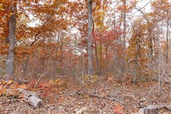property photo for Hawkcrest Tract 51, 8.63 acres for sale in Reynolds County, Missouri
