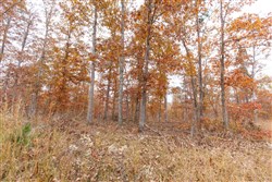 property photo for Hawkcrest Tract 51, 8.63 acres for sale in Reynolds County, Missouri