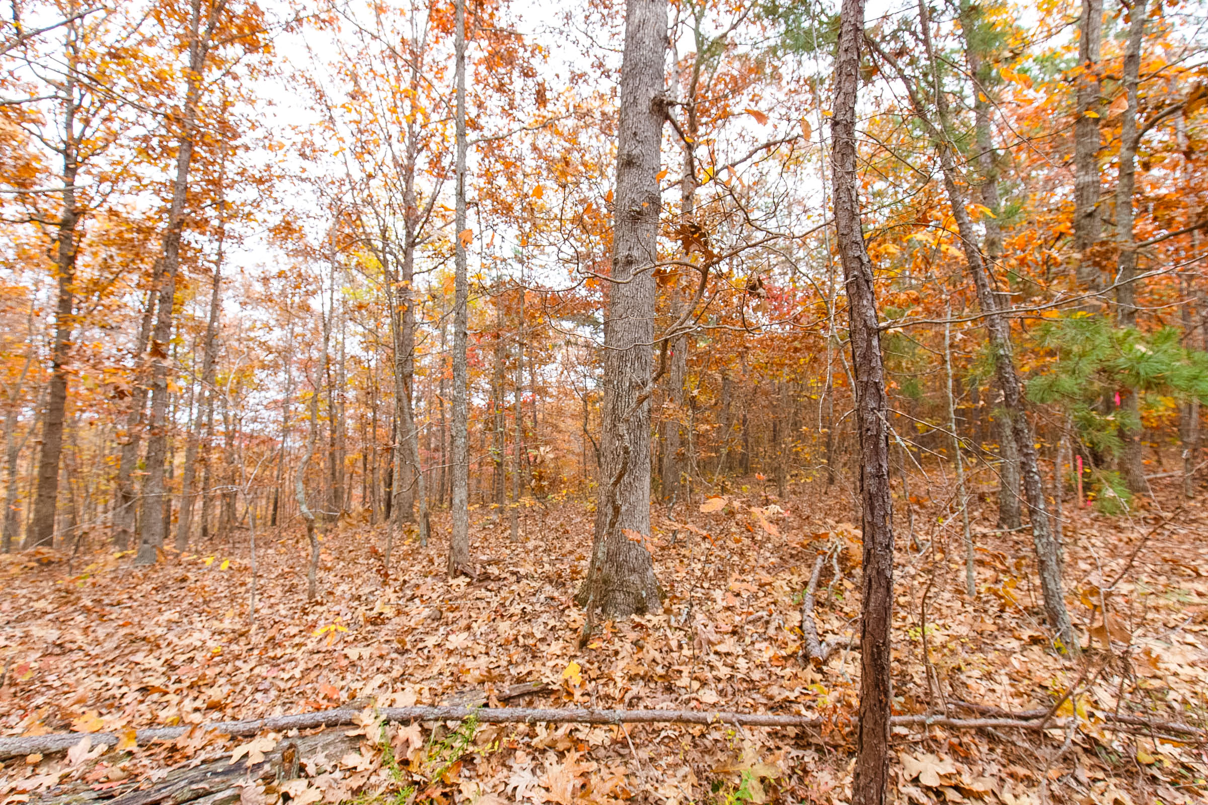 Tract 6 at Hawkcrest in Reynolds County, Missouri